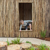 A boy climbing from the Maori Whare outdoors at Tadpoles Early Childhood Centre